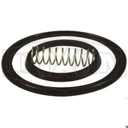 Dixon Spring Check Valve Repair Kit B46MP-RK400